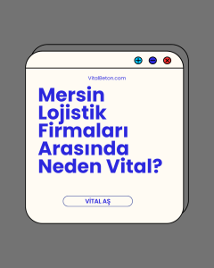 Mersin Lojistik Firmaları